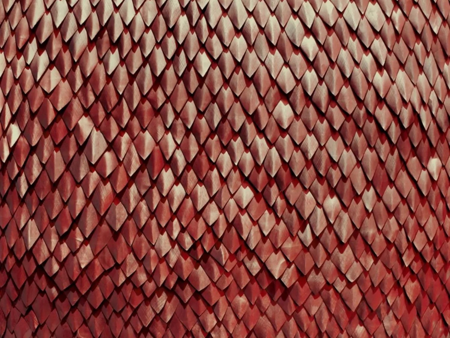 Playlist de l'équipe : Pas content·es !