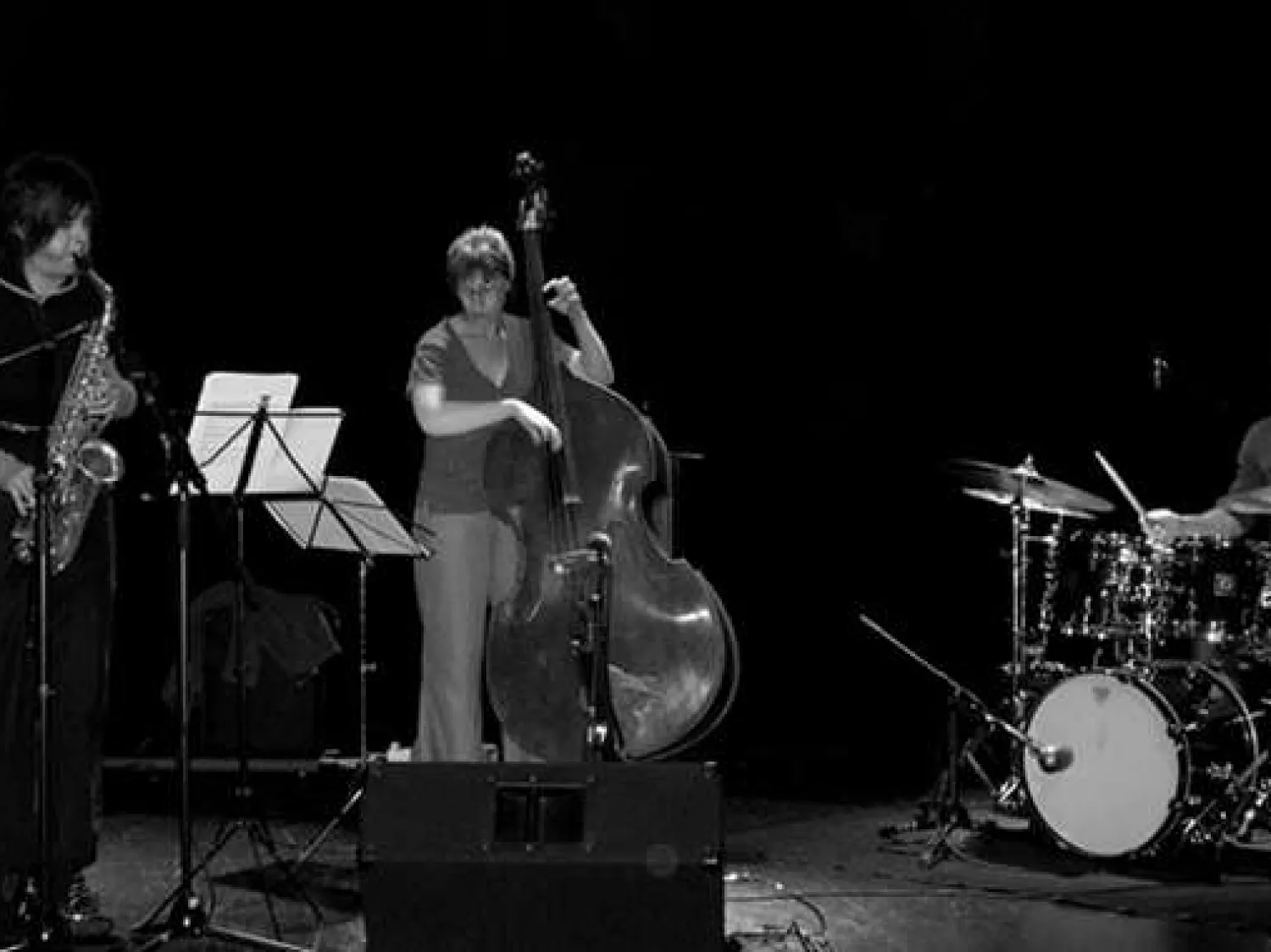 Géraldine Laurent trio
