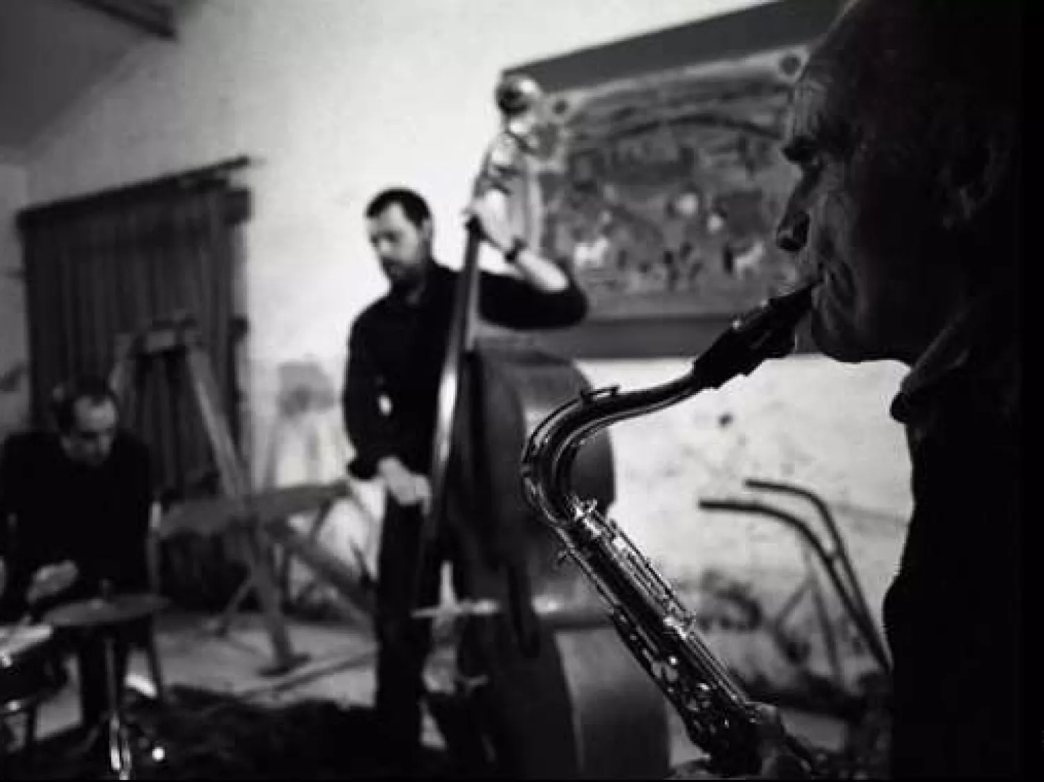 Photo Didier Lasserre Trio © Bruce Milpied