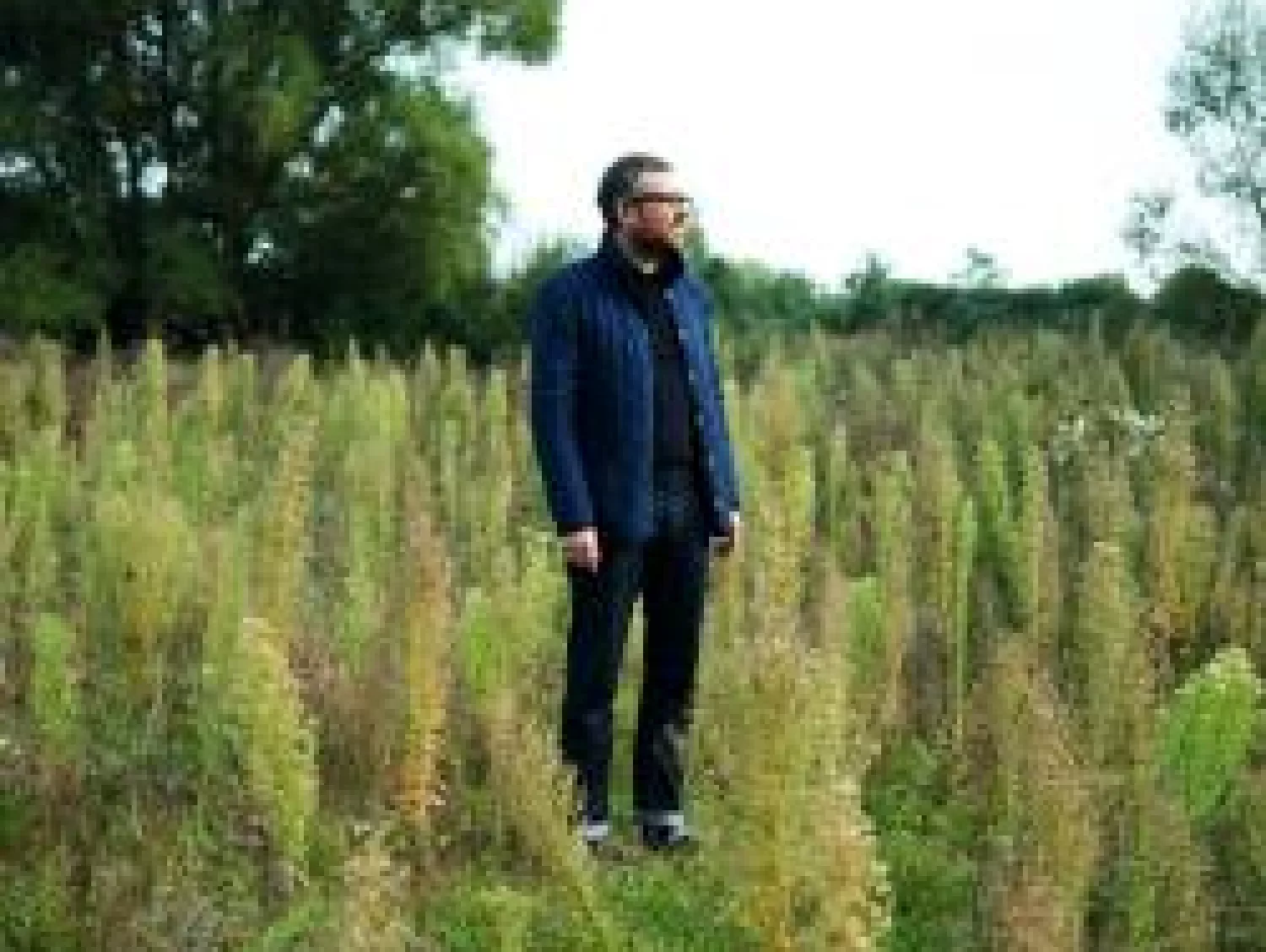Bruisme#9 : Jean-Phillipe Gross 